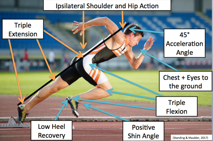 Biomechanics Of Sprinting Acceleration Suresh Maurya Master Of Biomechanics Of Sprinting Acceleration Suresh Maurya Master Of